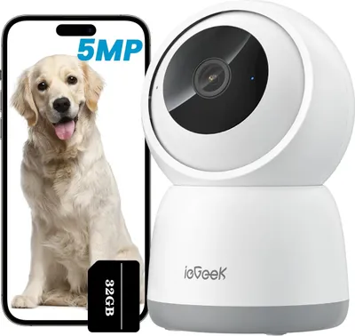 A product image collage showing a security camera and a smartphone displaying a dog, along with a memory card.