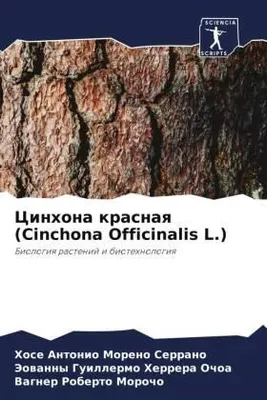 Produktbild von Cinhona krasnaq (Cinchona Officinalis L.)