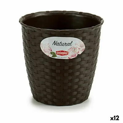 Obrázek produktu pro Obal na květináč stefanplast plast 14 x 13 x 14 cm (12 kusů)