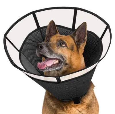 Produktbild von Verstellbarer Kragen - Beißschutz - Atmungsaktiver Kragen - Für Hunde/Katzen - Robustes Material - Größe L: 33-43 cm - Heilkragen