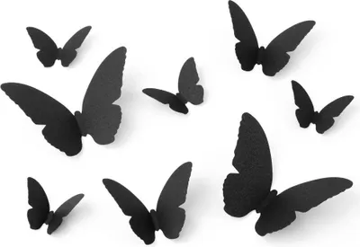 Produktbild von Schwarze Deko-Schmetterlinge, 6-12cm, 30St.