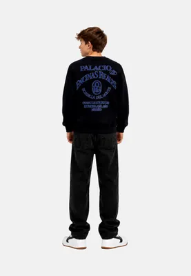 Produktbild von Jack & Jones Junior Pullover CHAMBERI Sweatshirt