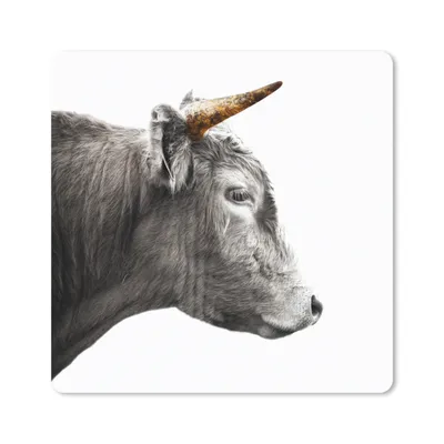 Produktbild von MuchoWow® Mauspad Mousepad Schottischer Highlander - Schottische Kuh - Goldene Hörner 30x30 cm - Mousepads - Maus Mat - Pad - Mausunterlage - Gaming