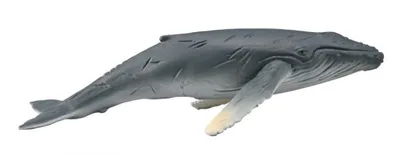 Immagine prodotto di COLLECTA giovane megattera 88963 89634
