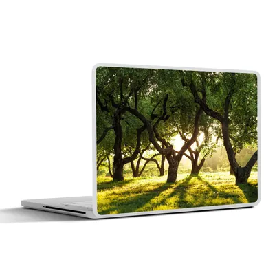 Produktbild von MuchoWow® Laptop Aufkleber Sticker Cover Bäume - Natur - Sonne 31x22.5 cm - Laptop-Deko