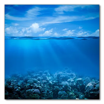 Produktbild von Wallario selbstklebende Möbelfolie/ Tischdecke für Innen und Außen, Größe: 70 x 70 cm - Unterwasserwelt Meer