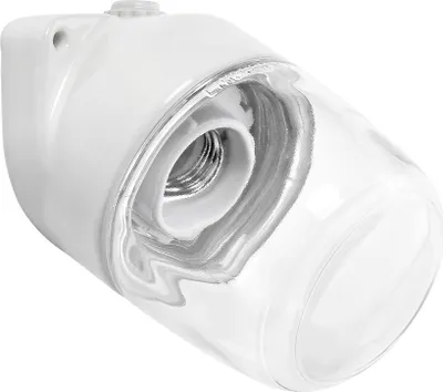 Produktbild von LINDNER Wandanbauleuchte 75W Lisilux ws Gl_klar IP54