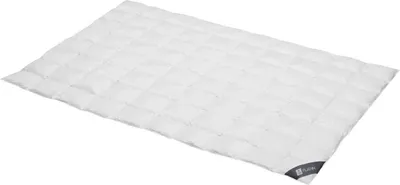 Produktbild von Daunendecke 135x200 cm 100 % Gänsedaunen Extra Leichte  Bettdecke Steppdecke Daunen SPESSARTTRAUM PLATIN