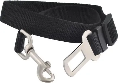 A black dog seatbelt with silver metal clips.