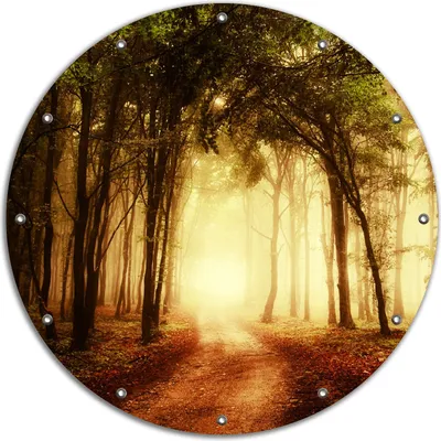 Produktbild von Wallario rundes Outdoor-Poster für Garten oder Balkon, Motiv Sonnenuntergang auf dem Waldweg, 90 cm Durchmesser
