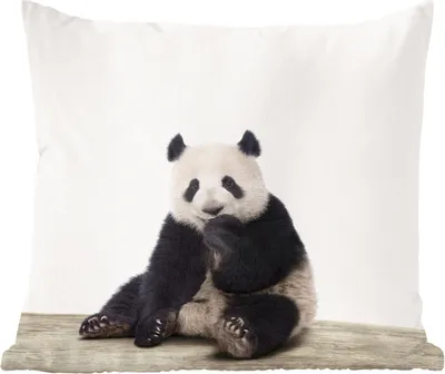 Produktbild von MuchoWow® Zierkissen Sofakissen Wohnzimmer Dekokissen 50x50 cm Panda - Tiere - Jungen - Mädchen - Pandabär - Komfort - Sofakissen