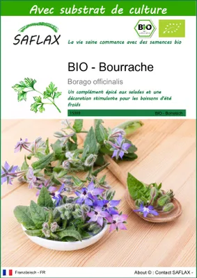Image de SAFLAX  -- Bourrache - 40 graines - Avec substrat - Borago