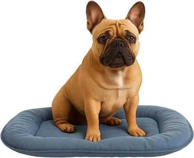 Produktbild von Hundekissen Ovale Form - Hundekissen für Entspannung und Ruhe - Weiches, unterstützendes Kissen für Hunde - 55 x 39 x 3 cm - Blau