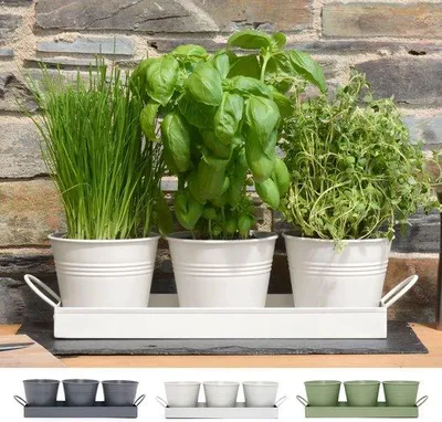 Image de Lot de 3 pots à herbes aromatiques avec drainage pour plantes de cuisine