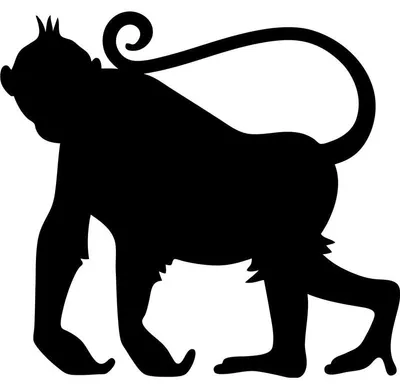 Produktbild von Kreidetafel-Aufkleber – abwischbare Wandaufkleber – Affensilhouette – 40 x 45 cm