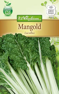 Produktbild von Mangold Lucullus | Mangoldsamen von N.L. Chrestensen