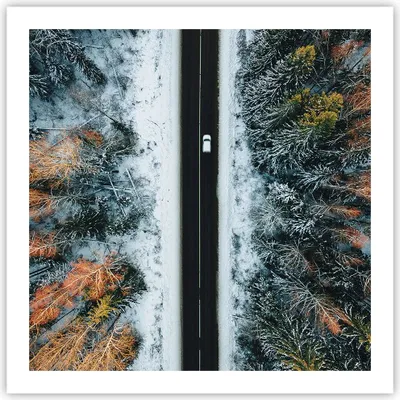 Produktbild von Poster - Poster ohne Rahmen - Wald Weg Schnee - 60x60 cm - Wand Bild - Wanddeko - Wandbilder - Kunstposter - Wandposter - Bilder - Kunstdruck - Wanddekoration - Wandbild - P2XAC60x60-4654