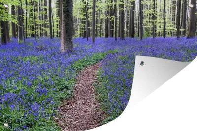 Produktbild von MuchoWow®