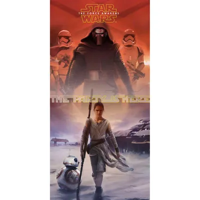 Produktbild von Star Wars Episode VII Force Kinder Geburtstag Party Türposter Banner Poster