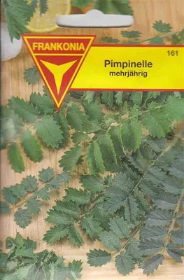 Produktbild von Pimpinelle