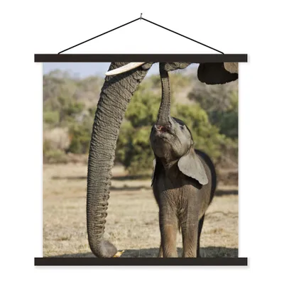 Produktbild von MuchoWow® Textilposter Elefant - Tiere - Gras - Natur 120x120 cm mit schwarzem Rahmen - Aufhängungsset