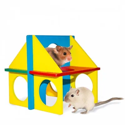 Image de DUVO+ Jouet en bois coloré pour rongeurs - maison 14x11cm, 65264055