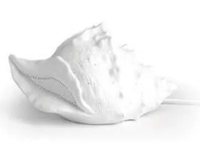 Immagine prodotto di Lampada in cericamica conchiglia 30xH17 cm