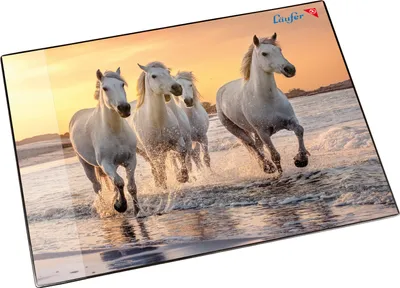 Zdjęcie produktu dla Runner 46656 Podkładka do pisania z motywem koni na stojaku, 40x53cm