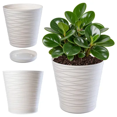 Productafbeelding van KADAX bloempot met onderzetter "Greve", bloempot, plantpot van kunststof, sierpot, rond, 17 cm, crème