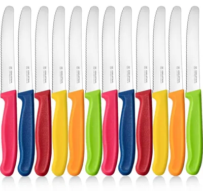 Obrázek produktu pro Sada 12 nožů na snídani, vroubkované ostří, nerezová ocel, 11 cm, plastová rukojeť, vícebarevná