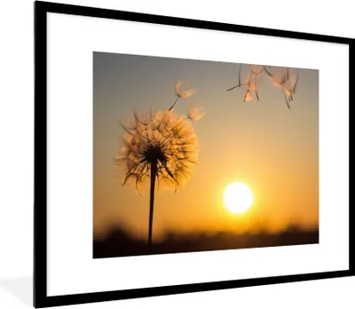 Produktbild von MuchoWow® Gerahmtes Poster Löwenzahn - Sonne - Sonnenuntergang 80x60 cm - Poster mit Schwarzem Bilderrahmen Wandposter Rahmen Foto Bilder - Schlafzimmer-Dekorationen - Fotoposter