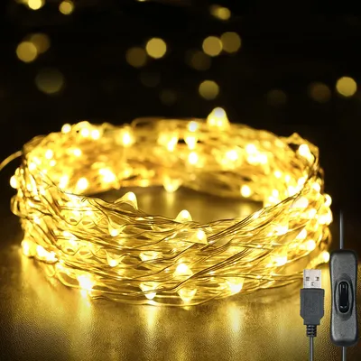 A coiled string of warm white LED lights with a USB connector and switch.