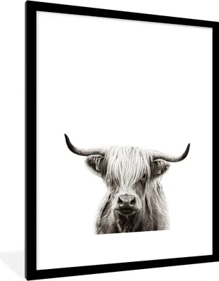 Produktbild von MuchoWow® Gerahmtes Poster Schottischer Highlander - Tiere - Schwarz - Weiß 60x80 cm - Poster mit Schwarzem Bilderrahmen Wandposter Rahmen Foto Bilder - Wohnzimmer - Dekorationen - Prämie