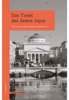 Obrázok produktu pre Smútok v dielach Jamesa Joycea