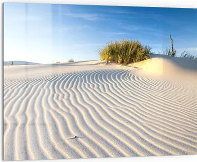 Produktbild von DEQORI Küchenrückwand Glas 80x60 cm 'Sanddüne Ostseeküste' Spritzschutz Bad Rückwand