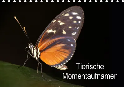 Produktbild von Tierische Momentaufnahmen (Tischkalender 2021 DIN A5 quer)