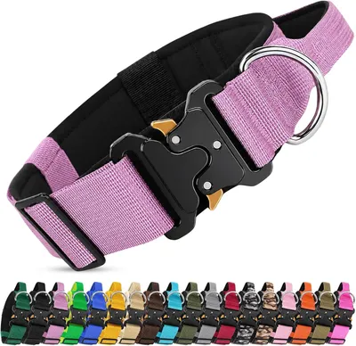 Produktbild von Taktisches Hundehalsband L, lila, verstellbar, Nylon, für Spaziergang