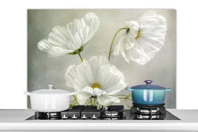 Obrázek produktu pro KitchenYeah® Splashback kitchen - Kuchyňský splashback - Ochrana stěny sporáku a dřezu - Květiny - Zátiší - Mák - Bílý - Botanický 100x65 - Alu-Dibond (alternativa ke skleněnému splashbacku) - Tepelně odolný