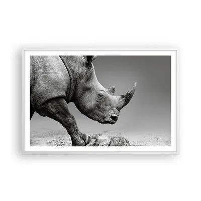 Produktbild von Gerahmtes Poster - Weißer Rahmen - Nashorn Monochrom Tier - 91,5x61 cm - Wand Bild - Wanddeko - Wandbilder - Kunstposter - Wandposter - Bilderrahmen - Bilder - Kunstdruck - P2WAA91x61-4954