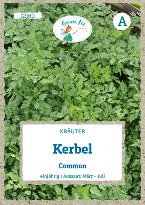 Produktbild von Grüne Fee - Kerbel Commun Samen - 12160