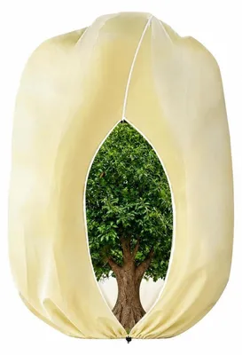 Image de Couverture de protection pour plantes, protection hivernale, dimensions 360 x 250 cm, tissu non tissé, respirant et résistant à la déchirure