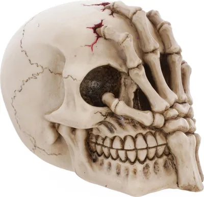Immagine prodotto di Decorazione teschio di Halloween con mano 16 cm in resina