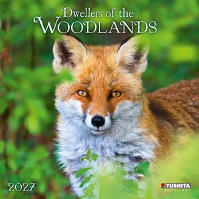 Produktbild von Dwellers of the Woodlands 2027