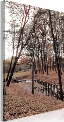Produktbild von Vlies Leinwandbild - Autumn Walk (1 Part) Vertical 40x60 cm Landschaften c-A-0207-b-a