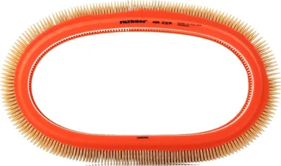 Produktbild von FILTRON Luftfilter Filtereinsatz AR 229, Außendurchmesser 244 mm, Innendurchmesser 186 mm, Höhe 62,5 mm