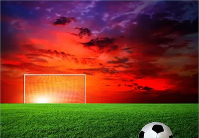 Produktbild von Wallario Fototapete Vliestapete, seidenmatte Oberfläche, einfache Verarbeitung, Größe 200 x 140 cm, Motiv Fußball - Fußballfeld bei Sonnenuntergang