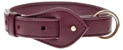 Produktbild von FERRIBIELLA Verstellbares Hundehalsband Sicherer Komfort - Bordeaux / 70cm