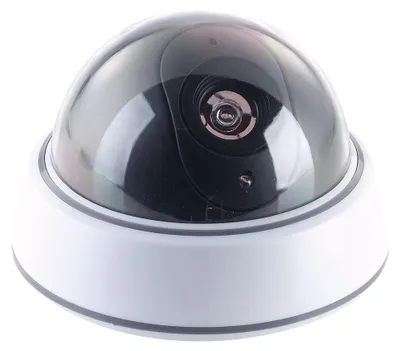 Image de Caméra dôme factice avec coupole transparente