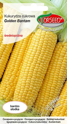 Produktbild von Golden Bantam Zuckermais Samen 10g - Torseed