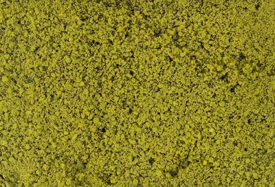 Produktbild von Faller 181621 - Blätterfoliage, hellgrün - Neu